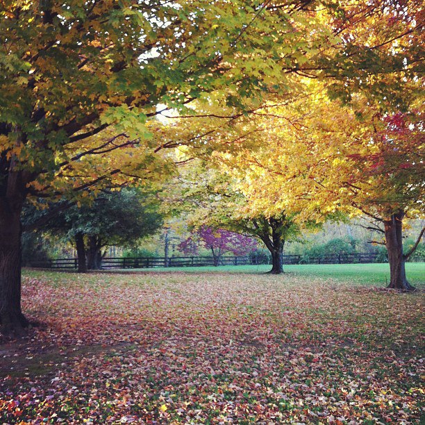 548265_4627456535235_403685714_n