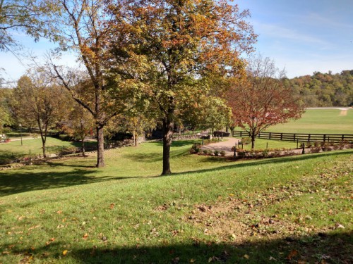 Fall in Kentucky.