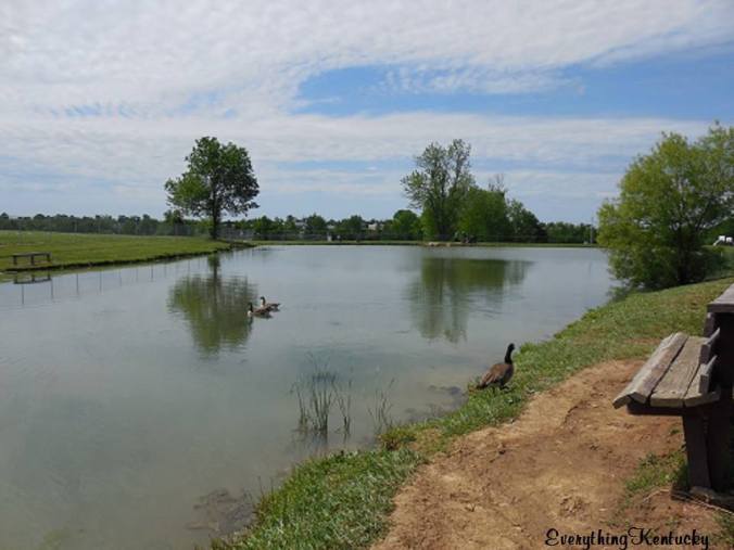 11170348_434100983427581_7174377856492157739_n