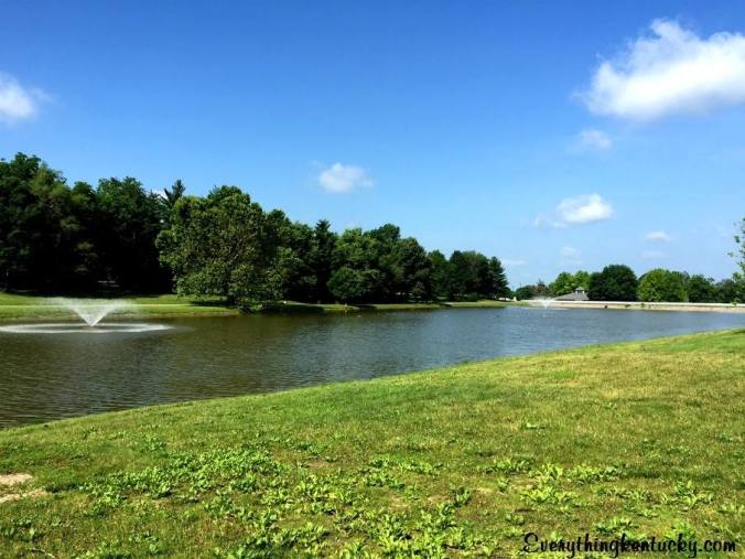 11412293_441558736015139_5322812110994374878_n