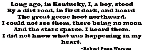 Robert Penn Warren
